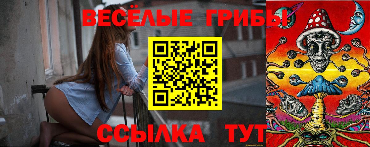Галлюциногенные грибы Psilocybe Грязи