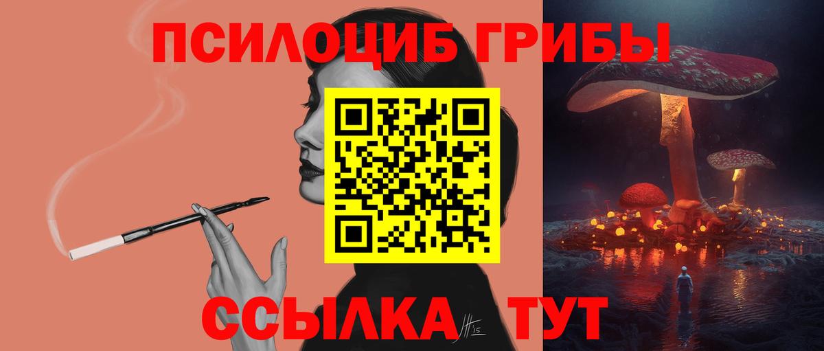 Псилоцибиновые грибы Cubensis  Вход с VPN  Грязи  Галлюциногенные грибы Psilocybine cubensis 